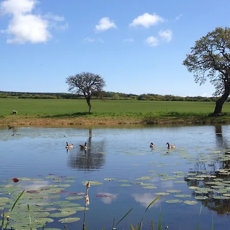 Alloggio per agriturismo The Grainary Boutique Scarborough